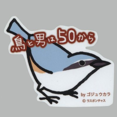 画像1: 【野鳥生活】防水UVステッカー「鳥と男は50から」送料180円 