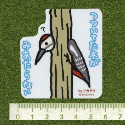 画像2: 【野鳥生活】防水UVステッカー「つついてた木がみあたらない」送料180円 