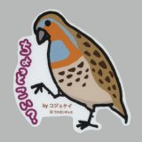 【野鳥生活】防水UVステッカー「ちょっとこい？」送料180円 