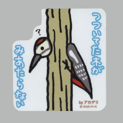 画像1: 【野鳥生活】防水UVステッカー「つついてた木がみあたらない」送料180円 