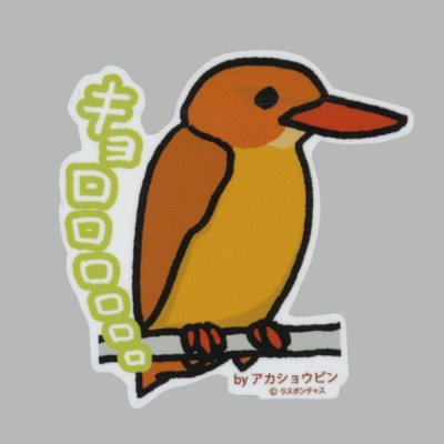 画像1: 【野鳥生活】防水UVステッカー「キョロロロロロロ」送料180円 