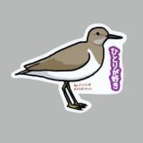 【野鳥生活】防水UVステッカー「ひとりが好き」送料180円 