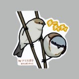 【野鳥生活】防水UVステッカー「チーチィチィ」送料180円 
