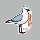 【野鳥生活】防水UVステッカー「冬こそ美白」送料180円 
