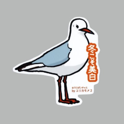 画像1: 【野鳥生活】防水UVステッカー「冬こそ美白」送料180円 