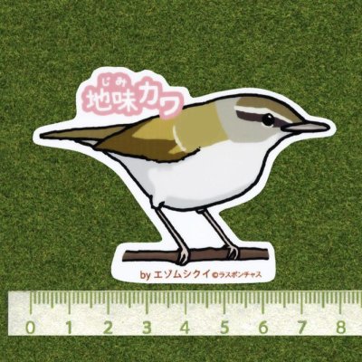 画像2: 【野鳥生活】防水UVステッカー「地味カワ」送料180円 