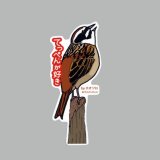 【野鳥生活】防水UVステッカー「てっぺんが好き」送料180円 