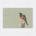 画像1: 【野鳥生活】色鉛筆画ポストカード「ジョウビタキ01」送料180円  (1)