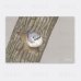 画像1: 【野鳥生活】色鉛筆画ポストカード「ゴジュウカラ01」送料180円  (1)