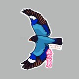 【野鳥生活】防水UVステッカー「森の宝石」送料180円 