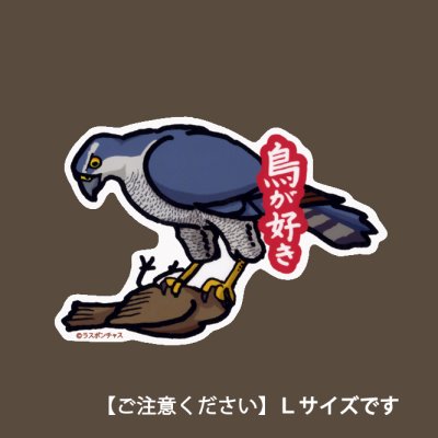 画像1: 【野鳥生活】防水UVステッカー・Ｌサイズ「オオタカ01」送料180円 