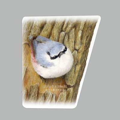 画像1: 【野鳥生活】防水UVステッカー「ゴジュウカラ02」送料180円 