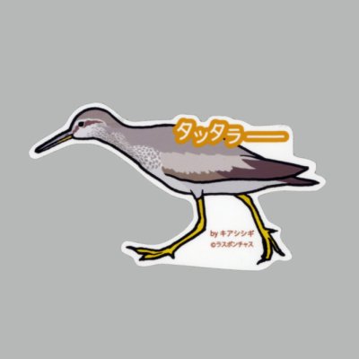 画像1: 【野鳥生活】防水UVステッカー「タッタラーー」送料180円 