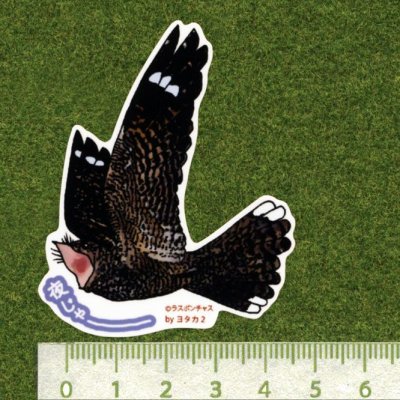 画像2: 【野鳥生活】防水UVステッカー「夜じゃーーーー」送料180円 