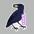 【野鳥生活】防水UVステッカー「知性派★」送料180円 
