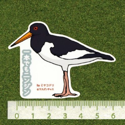 画像2: 【野鳥生活】防水UVステッカー「一本でもニンジン」送料180円 