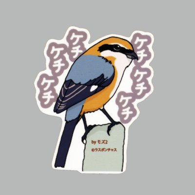 画像1: 【野鳥生活】防水UVステッカー「ケチケチケチケチ」送料180円 