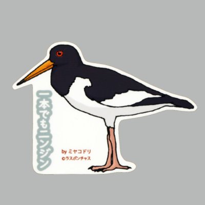 画像1: 【野鳥生活】防水UVステッカー「一本でもニンジン」送料180円 