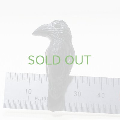 画像3: 【野鳥生活】マグネット「ブト1」（送料180円） 