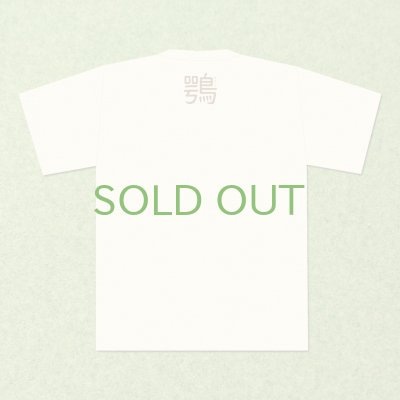 画像6: 【野鳥生活】野鳥Ｔシャツ「ミサゴ」送料180円 