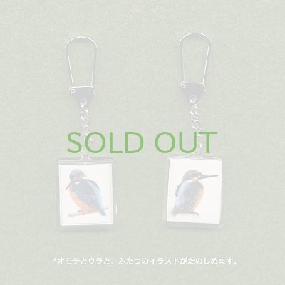 画像1: 【野鳥生活】キーホルダ「カワセミ」送料180円 