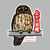 【野鳥生活】防水UVステッカー「アオバズク」送料180円 