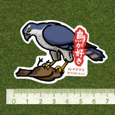 画像2: 【野鳥生活】防水UVステッカー「鳥が好き」送料180円 