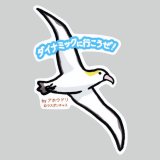 【野鳥生活】防水UVステッカー「ダイナミックに行こうぜ」送料180円 