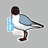 【野鳥生活】防水UVステッカー「夏は顔黒（ガングロ）」送料180円 