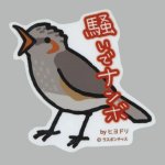画像: 【野鳥生活】防水UVステッカー「騒いでナンボ」送料180円 