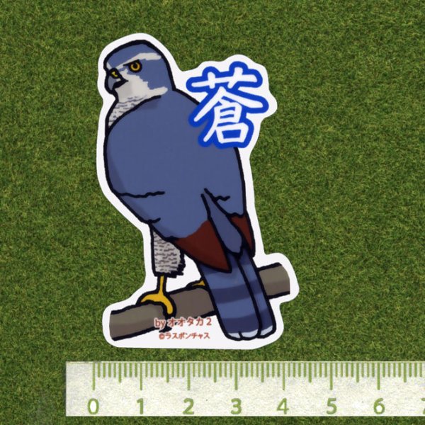 画像2: 【野鳥生活】防水UVステッカー「蒼」送料180円  (2)