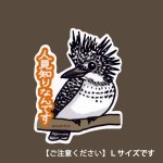 画像: 【野鳥生活】防水UVステッカー・Ｌサイズ07「ヤマセミ01」送料180円 
