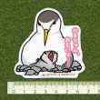 画像2: 【野鳥生活】防水UVステッカー「かあちゃん、おもいょ……」送料180円  (2)