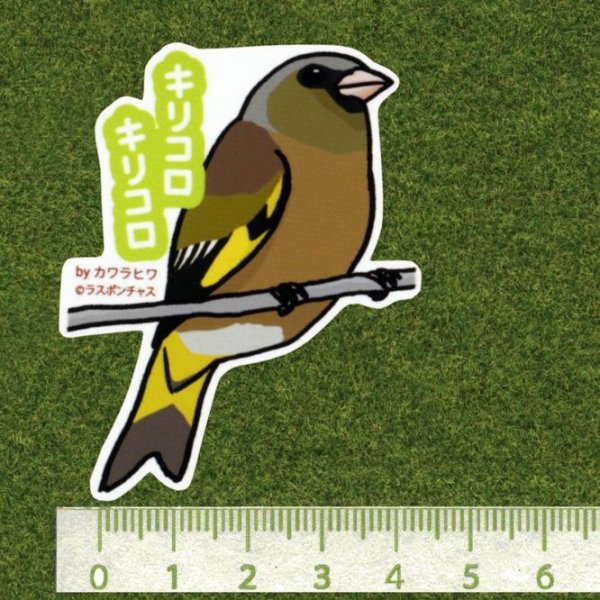 画像2: 【野鳥生活】防水UVステッカー「キリコロキリコロ」送料180円  (2)