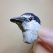 画像3: 【野鳥生活】マグネット「ゴイサギ」送料180円  (3)