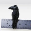 画像3: 【野鳥生活】マグネット「ブト1」（送料180円）  (3)