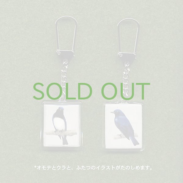 画像1: 【野鳥生活】キーホルダ「オオルリ」送料180円  (1)