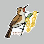 画像: 【野鳥生活】防水UVステッカー「ギョギョシ ギョギョシ」送料180円 