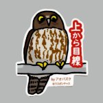 画像: 【野鳥生活】防水UVステッカー「アオバズク」送料180円 